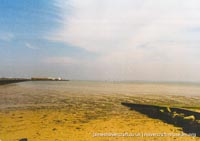 AP1-88 hovercraft promotional day by BHC